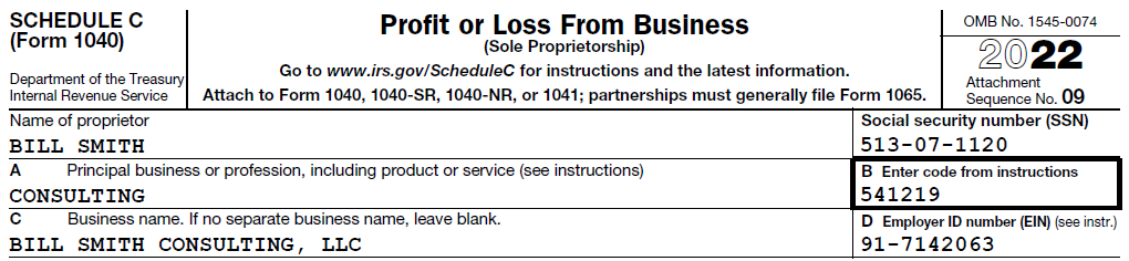 Single Member LLC Schedule C